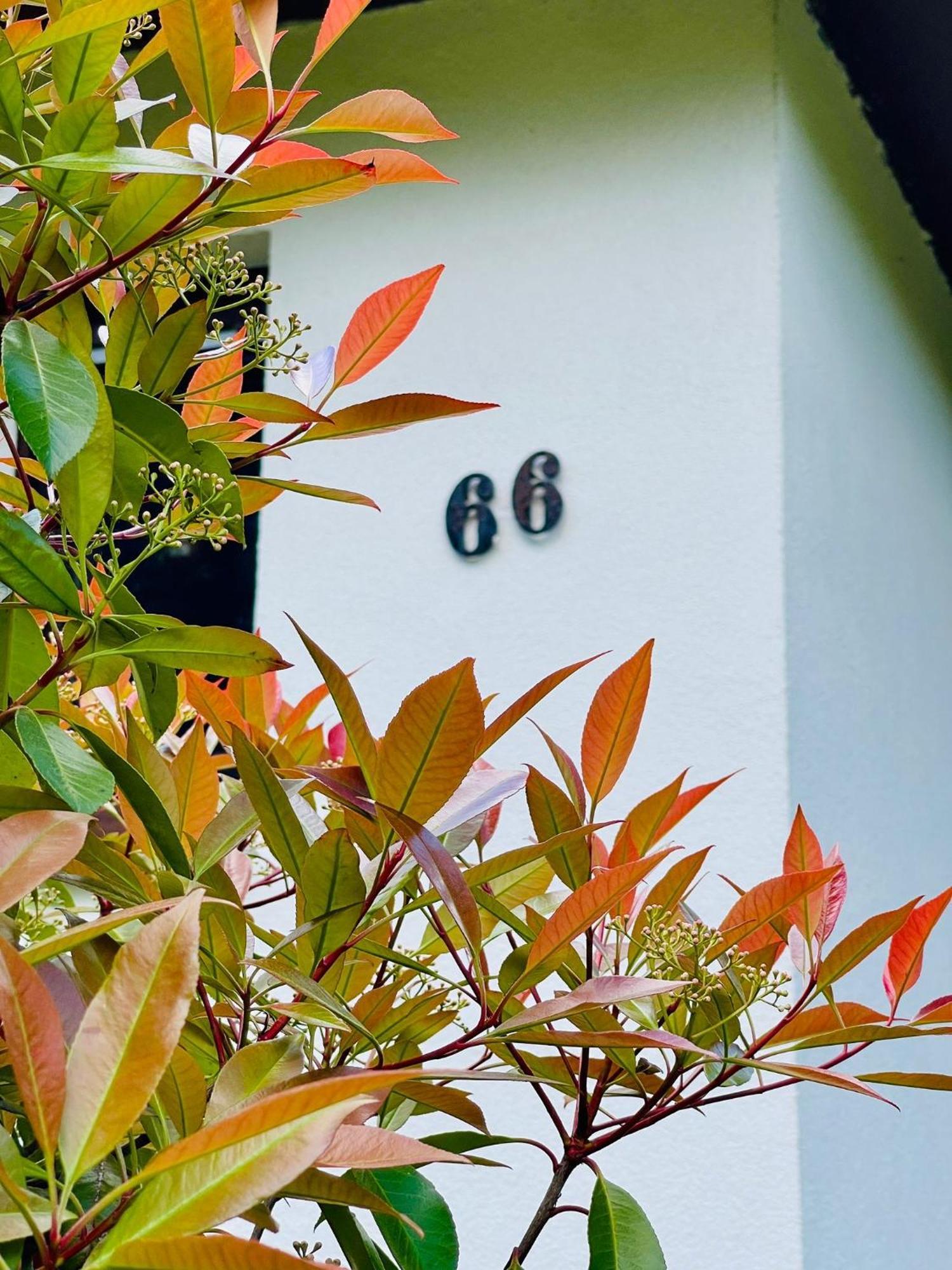 Ferienhaus Fuxbau Wohlau 外观 照片